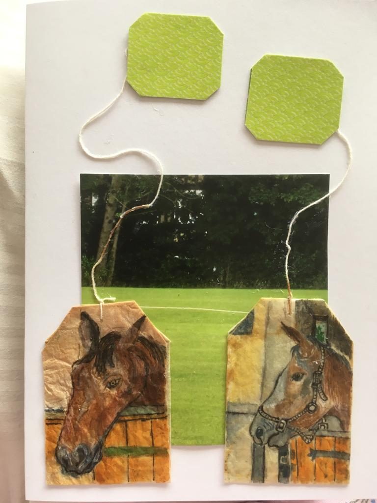 Horses on green tea bags