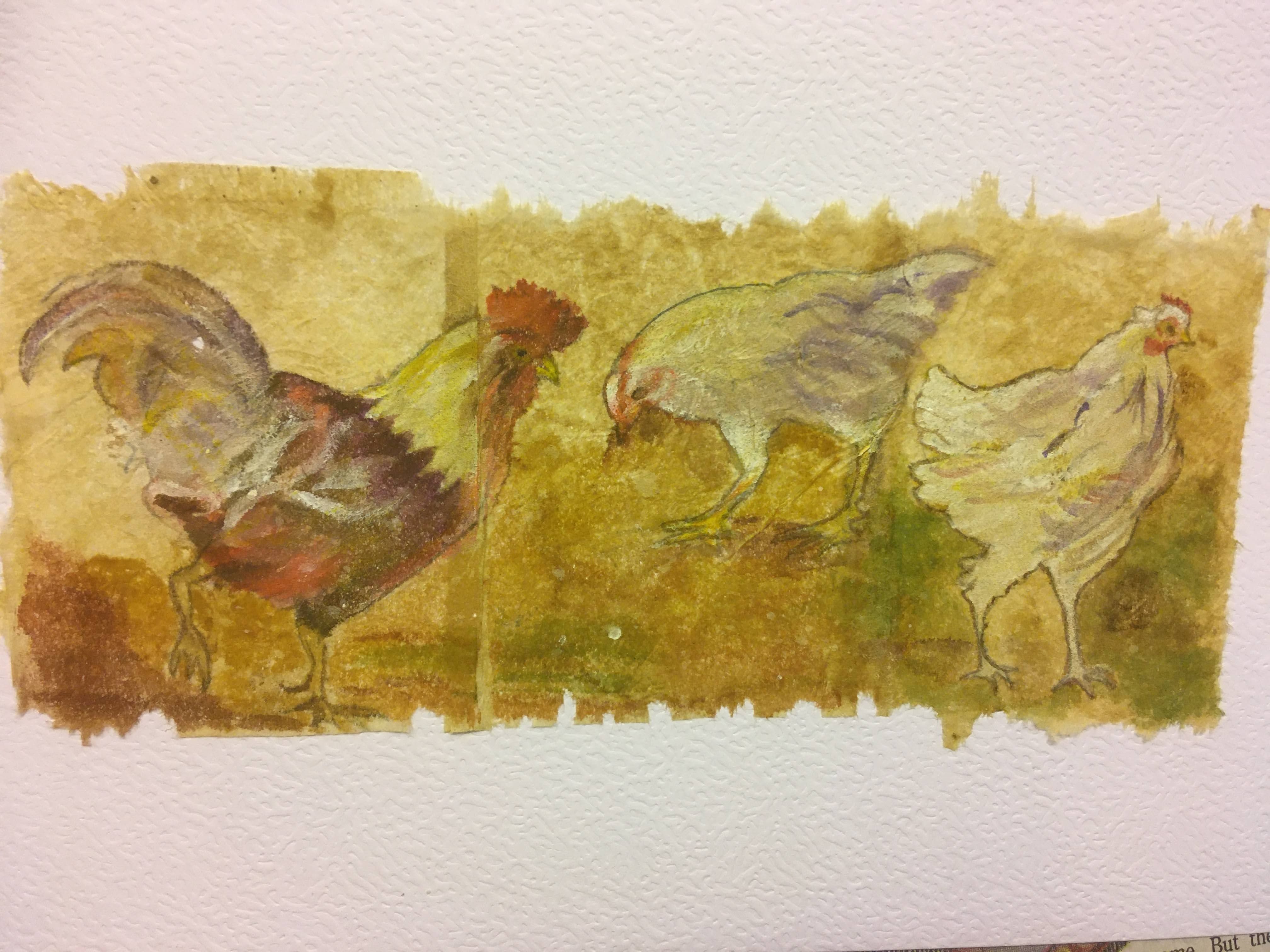 Chickens