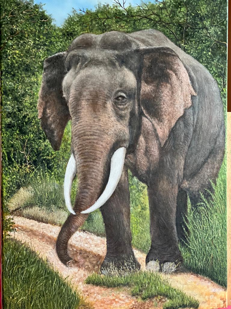 Asian elephant